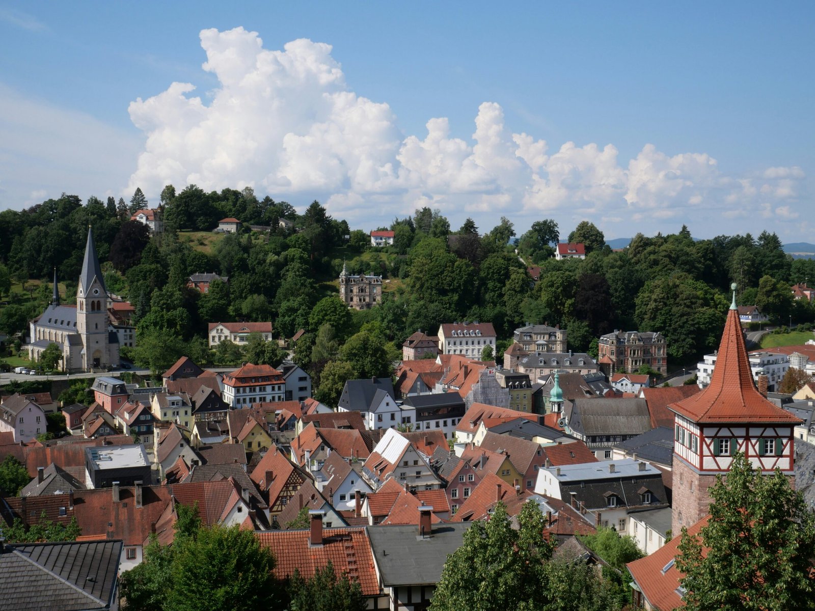 Vue sur de nombreux toits de maisons traditionnelles avec cheminées
